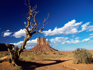 becoming a paralegal in arizona