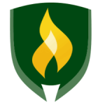 Rasmussen College – Minnesota logo