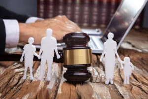 Custody Lawyers in Family Legal Matters