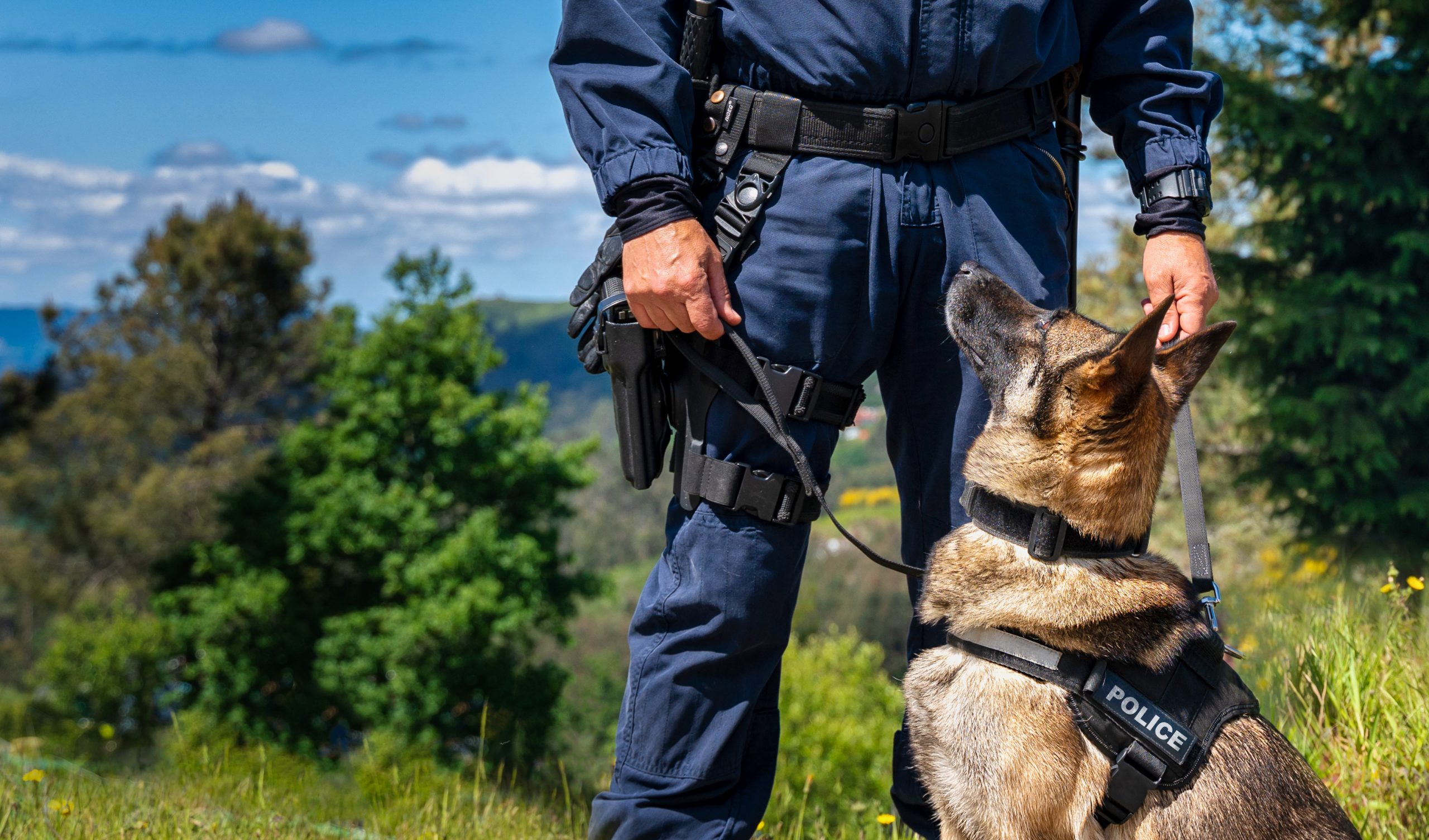 How to Become a K9 Officer In 5 Steps - Career Guide