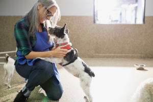 Pet Owner With Her Dog