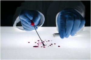 a forensic analyst collecting biological evidence, specifically a blood sample, at a crime scene
